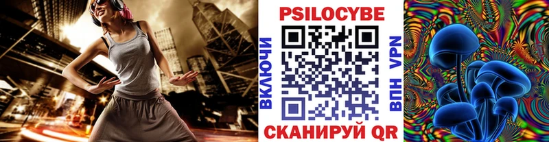 Псилоцибиновые грибы прущие грибы  Яблоновский 